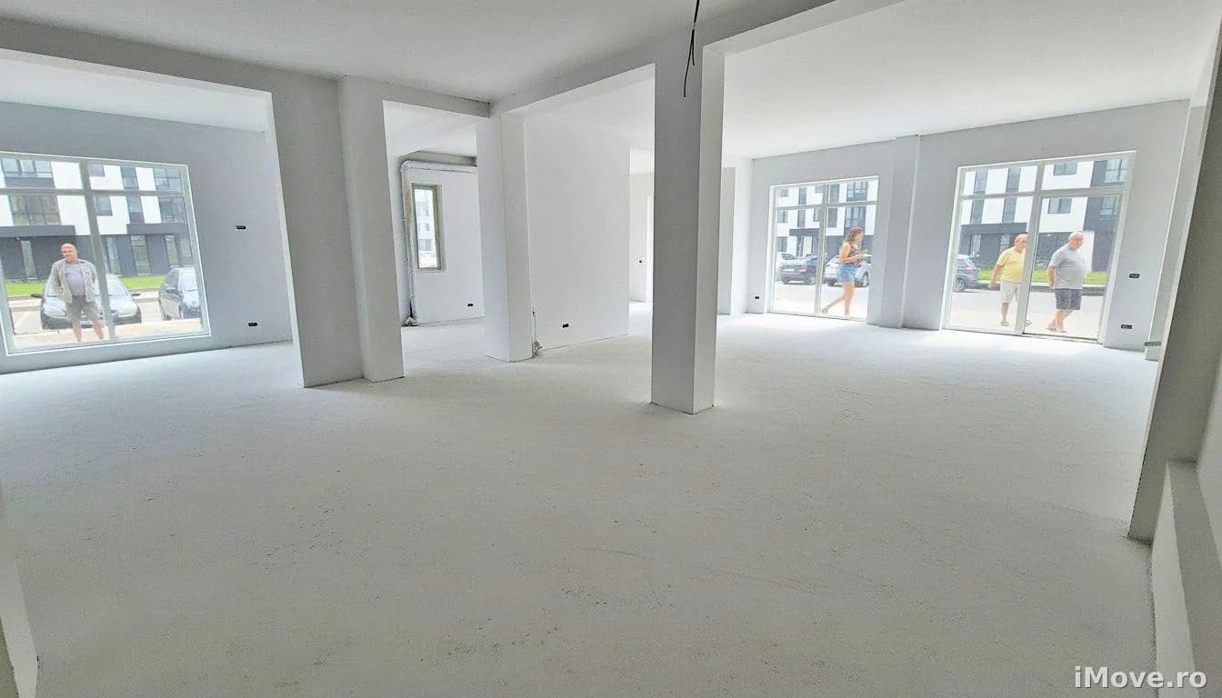 Spatiu Comercial 300 mp Doamna Stanca