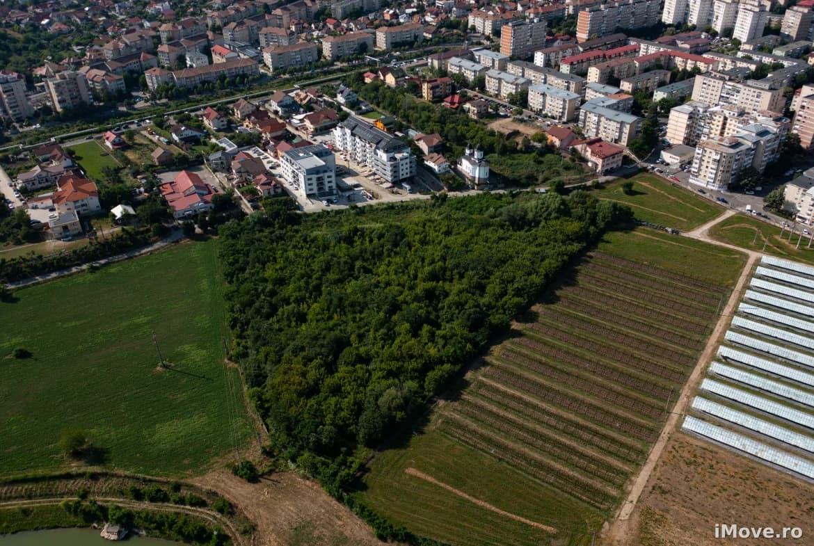 TEREN | RÂMNICU VÂLCEA | 22.000 MP