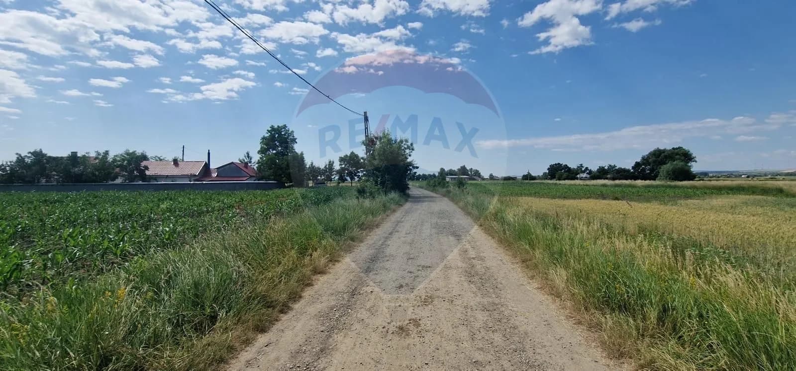 De vânzare teren 10.001 mp sat Oniscani, comuna Filipești