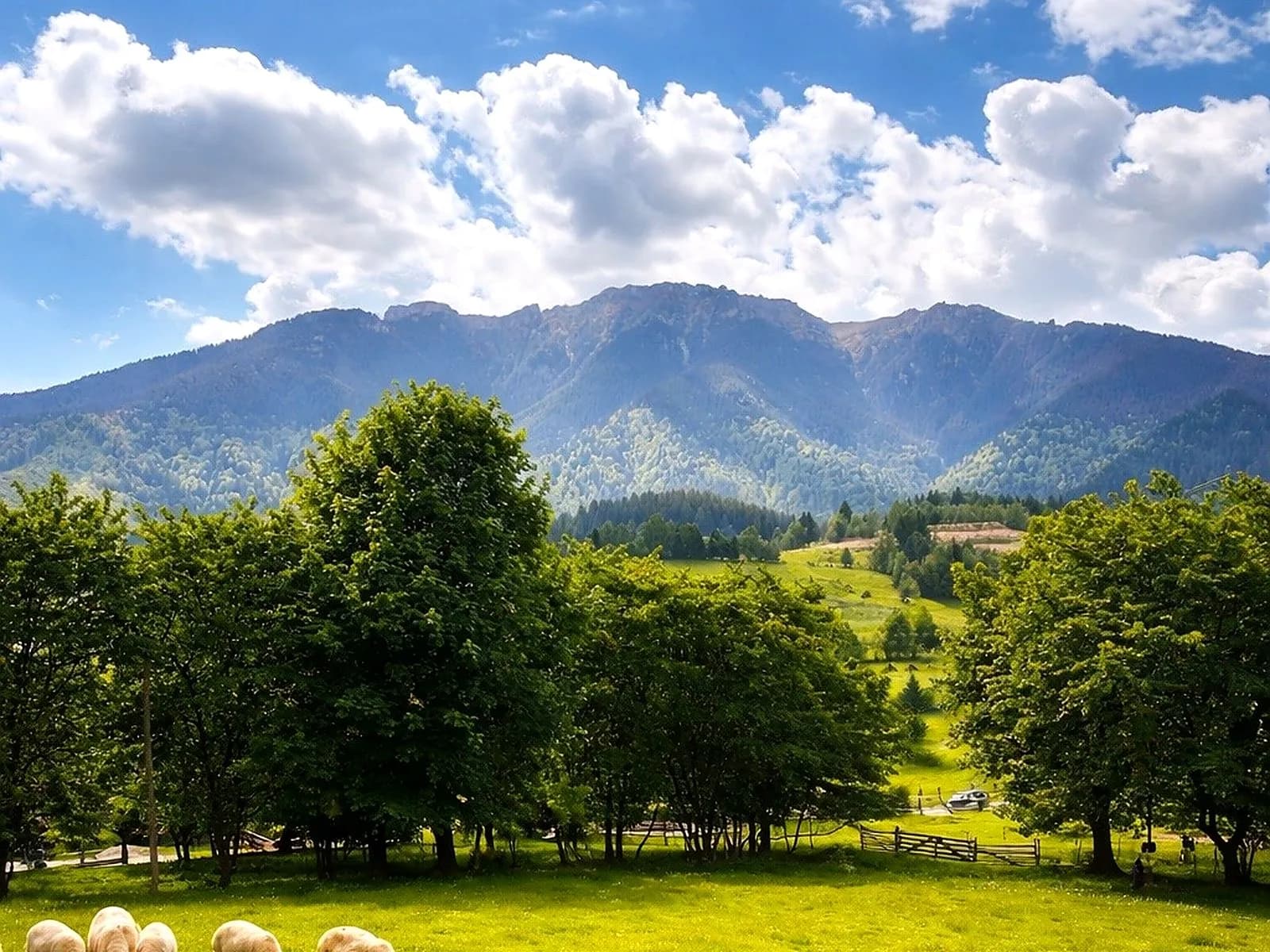 Teren cu priveliște spectaculoasă în Bran – Sohodol