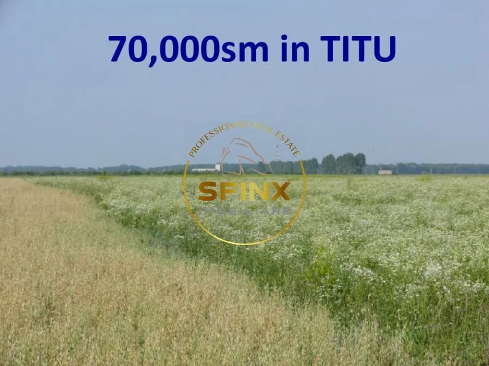 Teren Titu Dâmbovița 7 ha