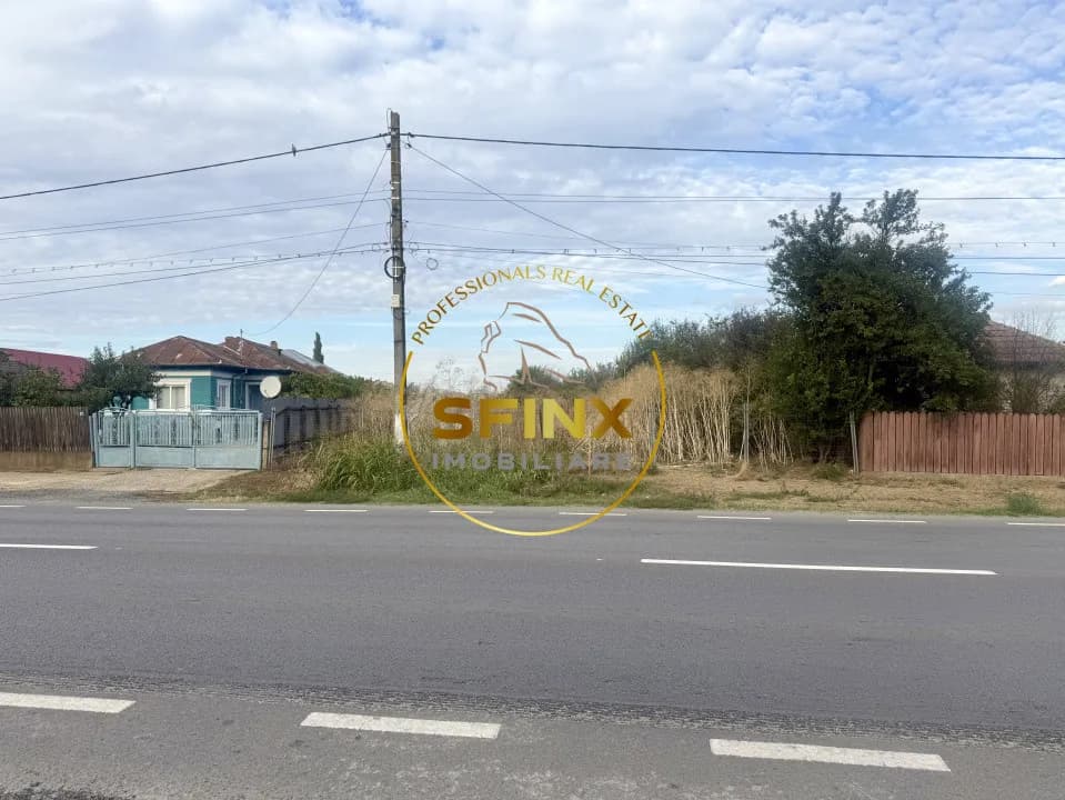 Teren 3905 mp Manasia, pozitie la drum judetean