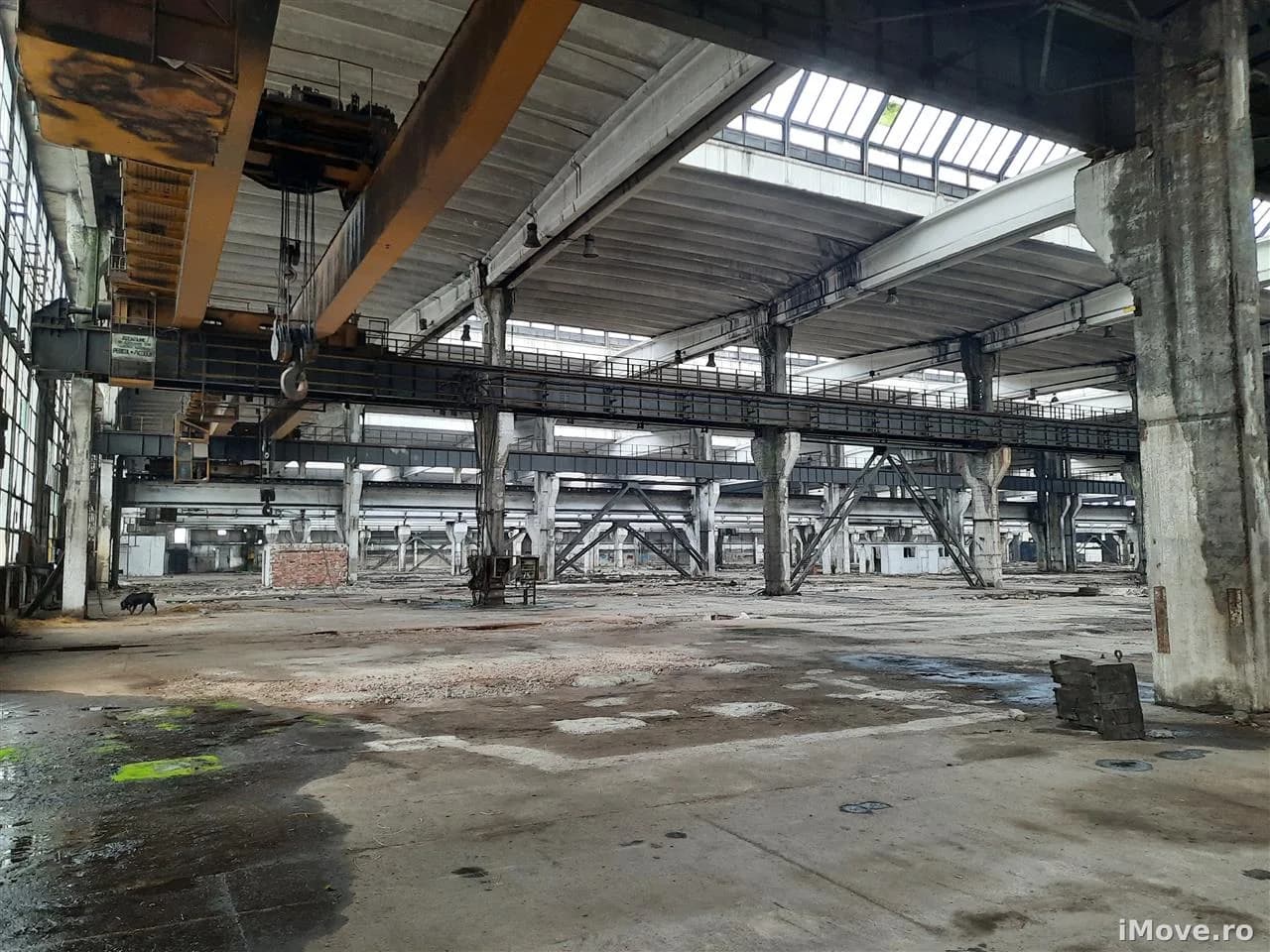 Spatiu Industrial 5000 mp Productie Industrie Grea