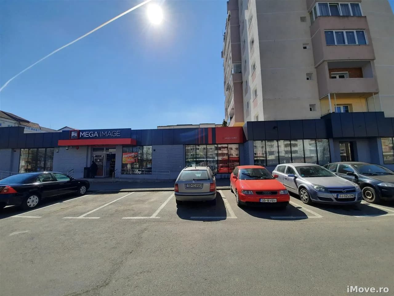Spatiu Comercial, 226 mp, Sibiu