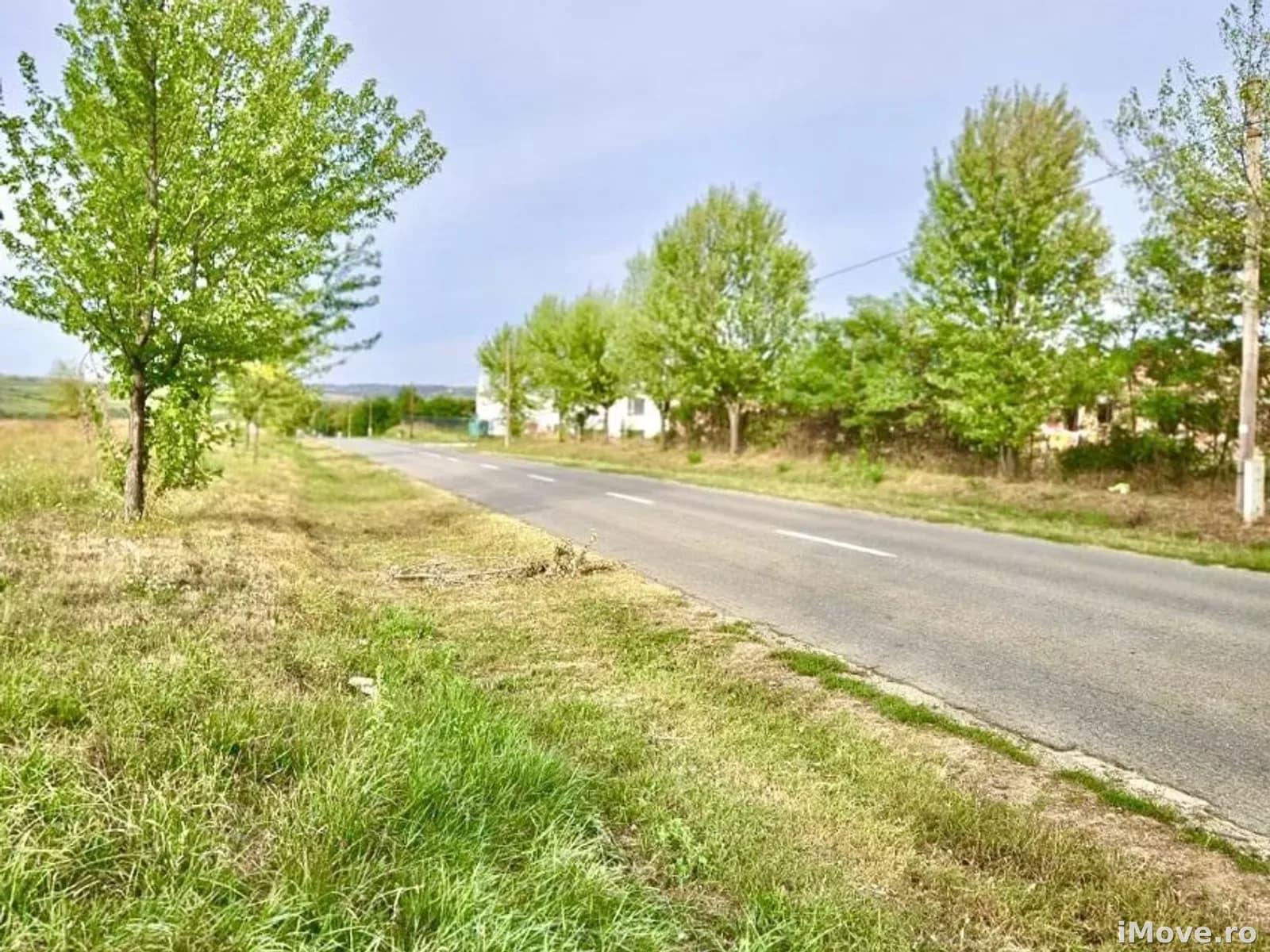 Teren intravilan de vanzare Paleu 750mp /884mp