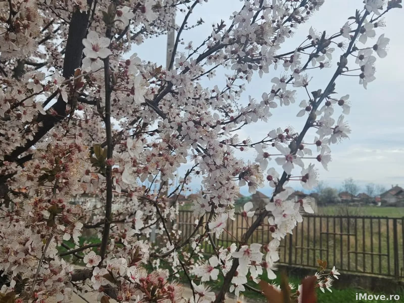 De vânzare casă în Roșiori!