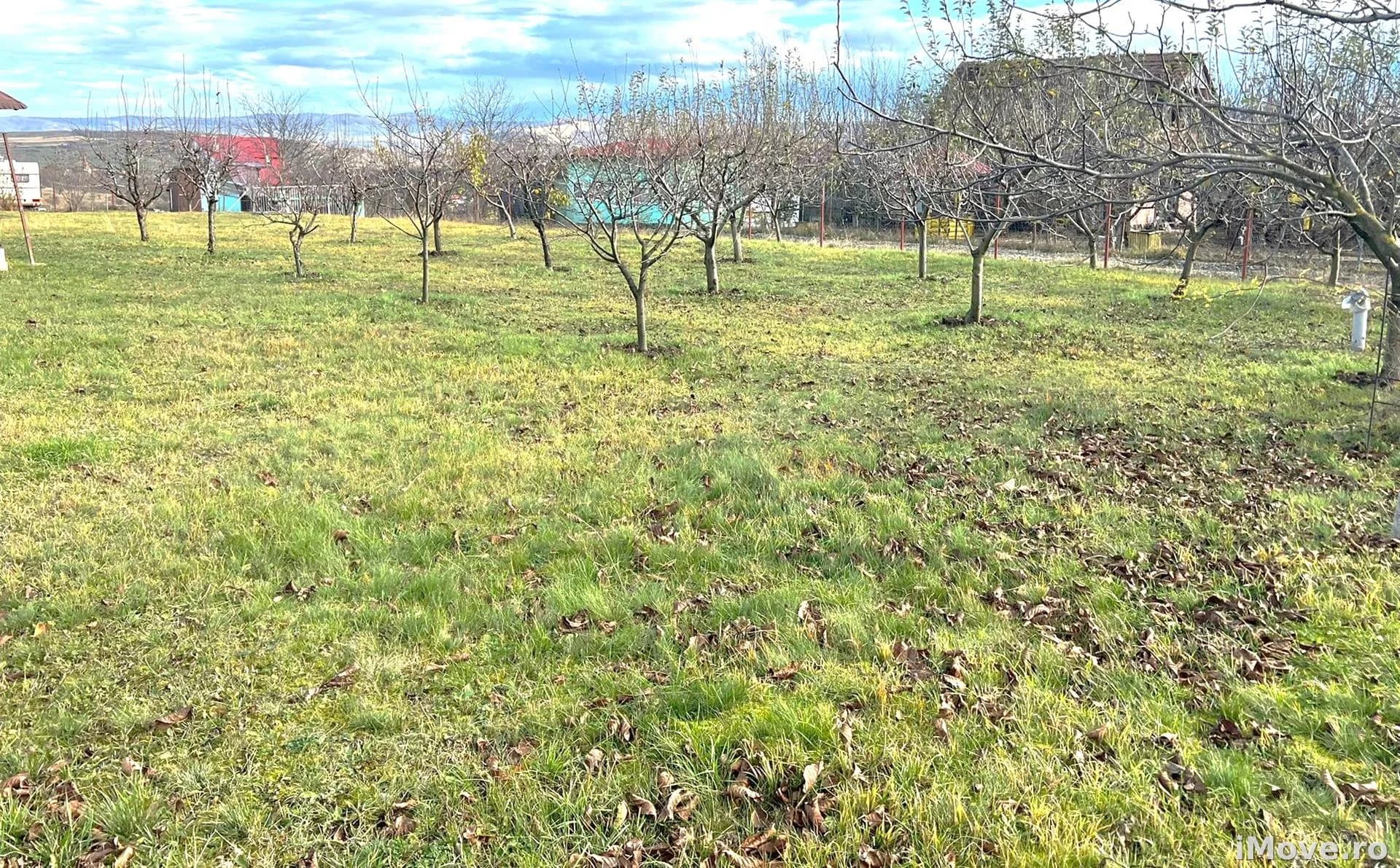Teren intravilan 1000 mp utilitati Daia Noua 10 minute de Sibiu