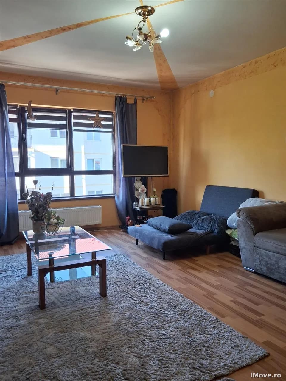 Apartament decomandat 1 camera Pictor Brana