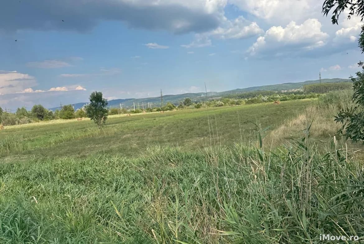 TEREN | TĂTĂRANI | 20954 MP