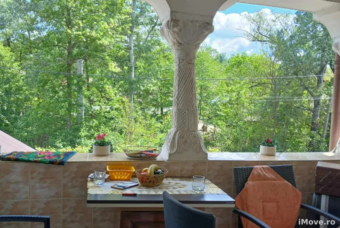 Casa traditionala | Barbatesti
