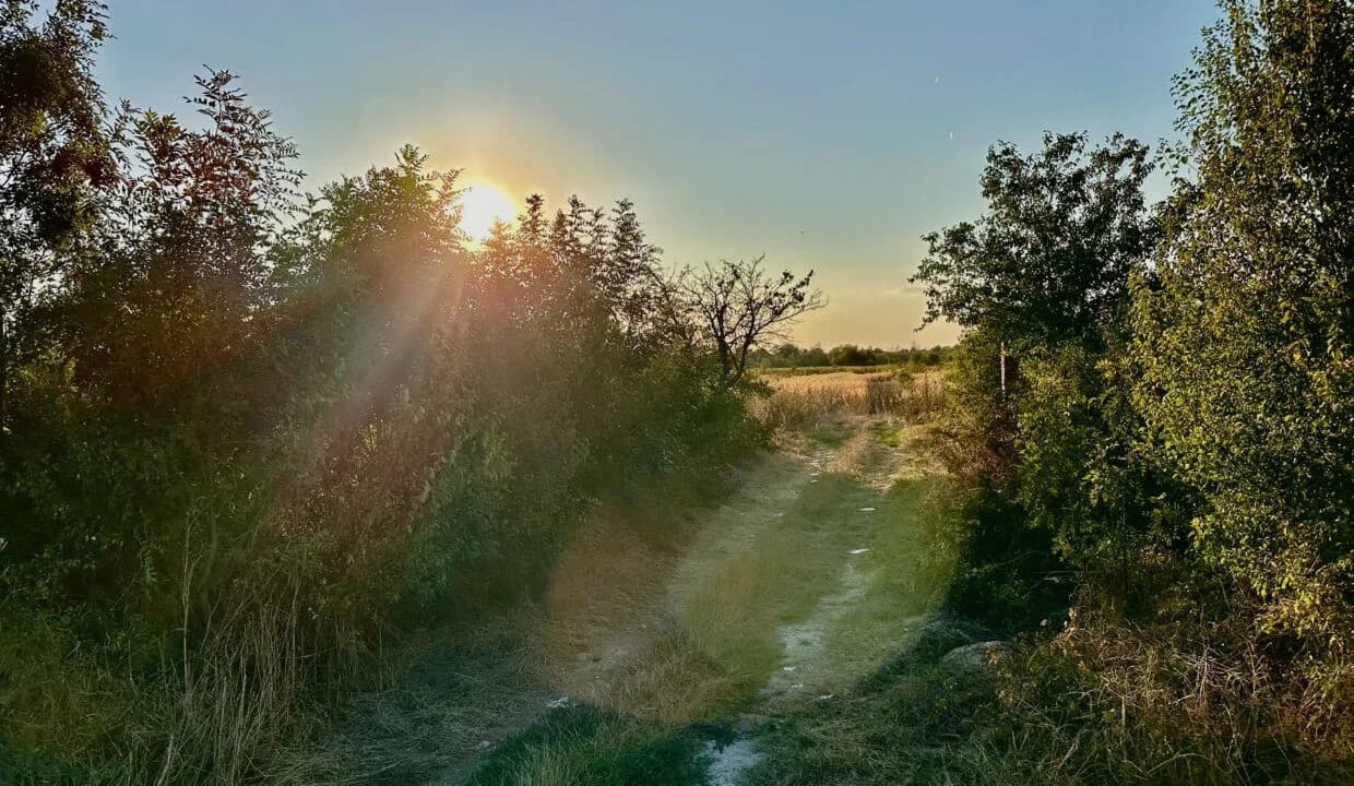 Teren 6700 mp Olteni, jud. Dâmbovița – la doar 900 m de Autostrada A1 (km 63)