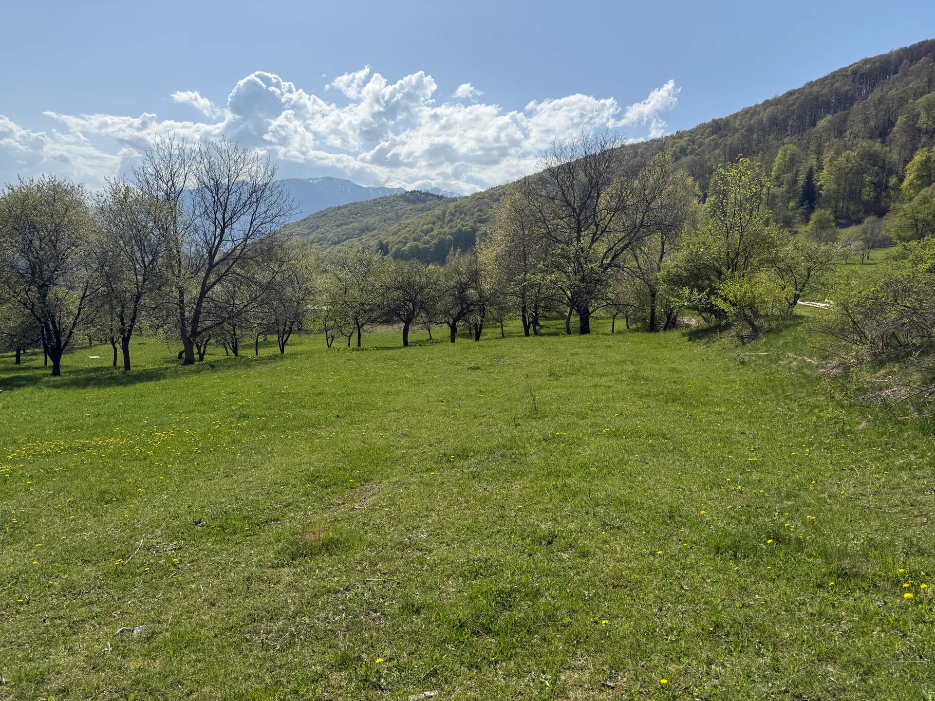 Terenuri Bran - Predelut Priveliște către Bucegi și Postăvaru