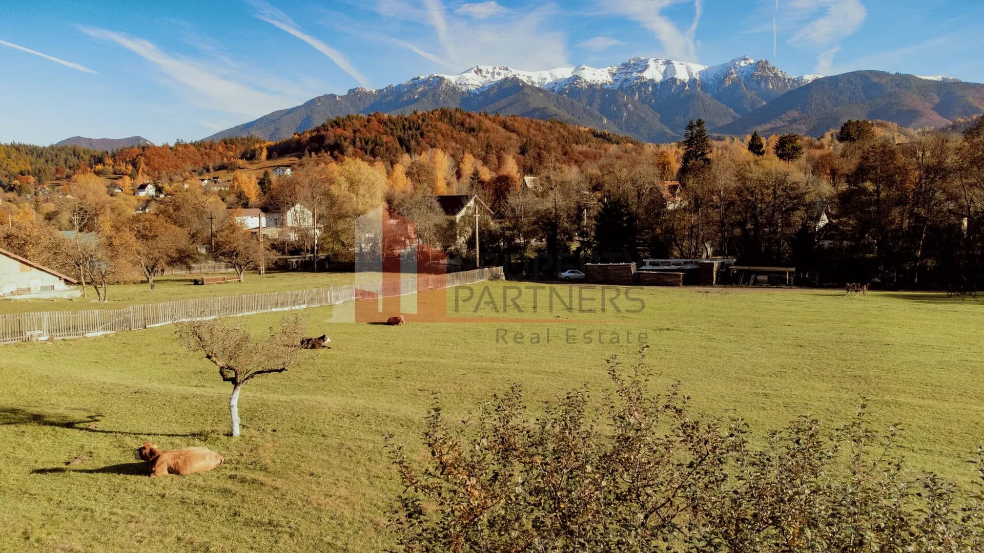 Teren 15.941 mp Moieciu | parcelabil | aproape de Castelul Bran