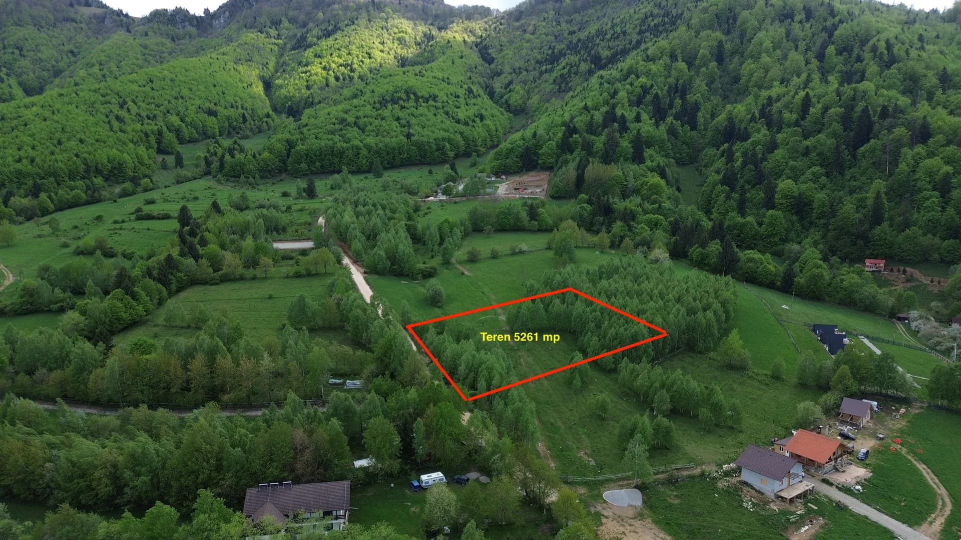 Teren intravilan 5.261 mp Tohănița | Deschidere 49 m | Utilități, lângă pădure