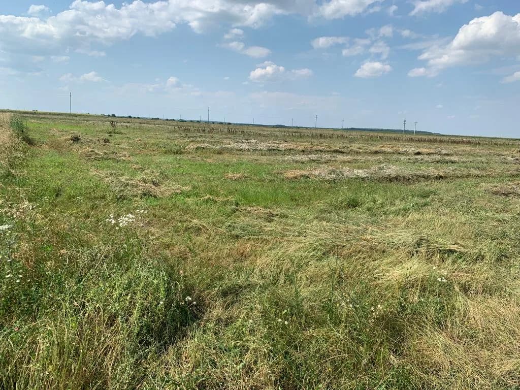 Teren pentru investitii rezidentiale, Moara Vlasiei, Caciulati, A3