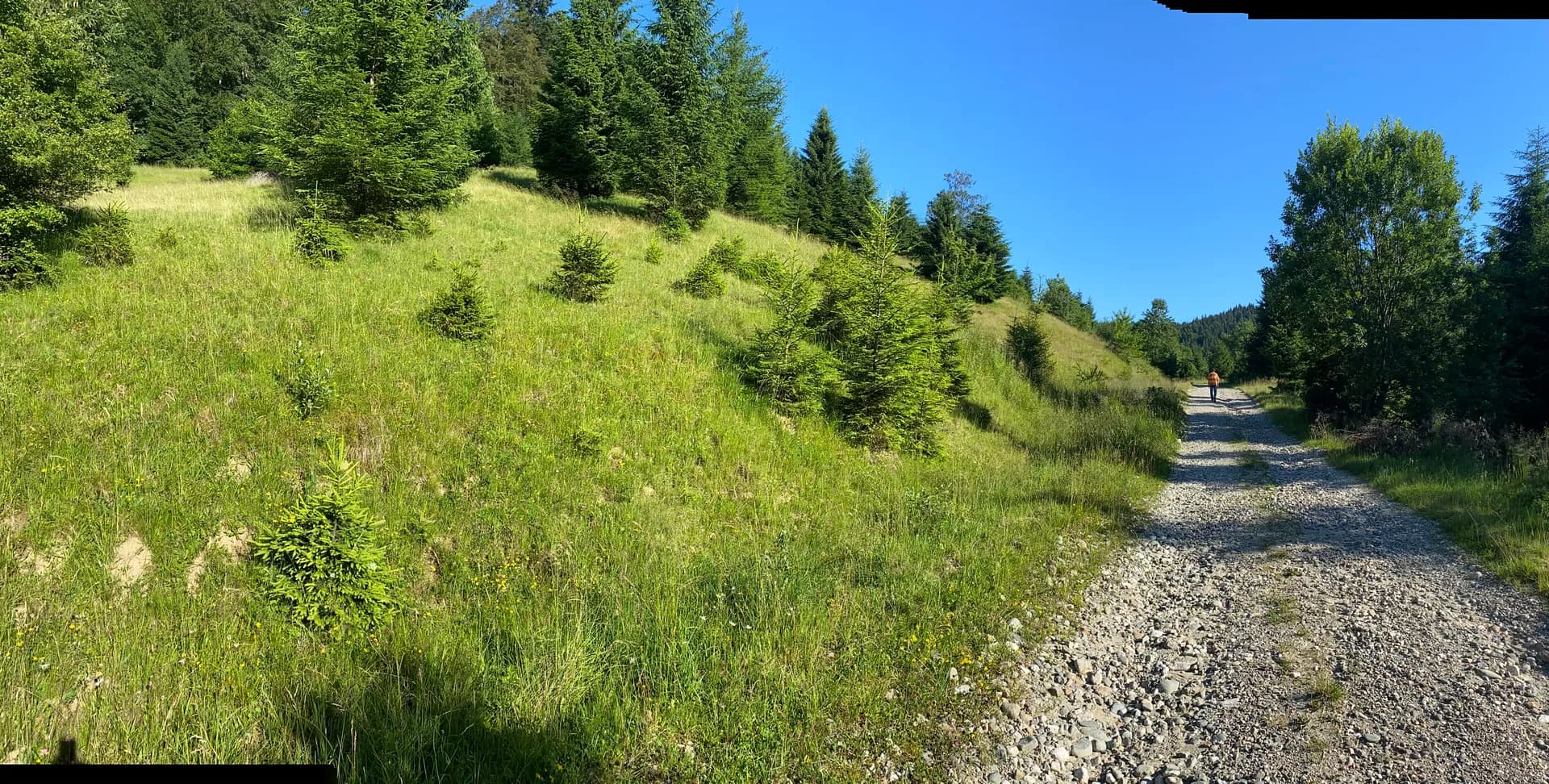 Teren 14400 mp la iesire din Rasnov inspre Pârâul Rece-Trei Brazi