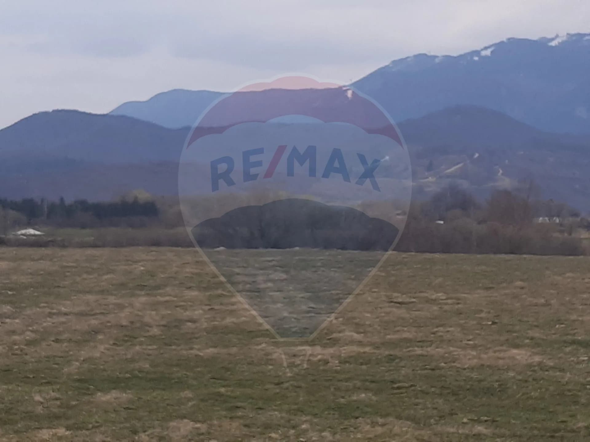 Teren 10,000mp Rasnov / Drumul Panicel