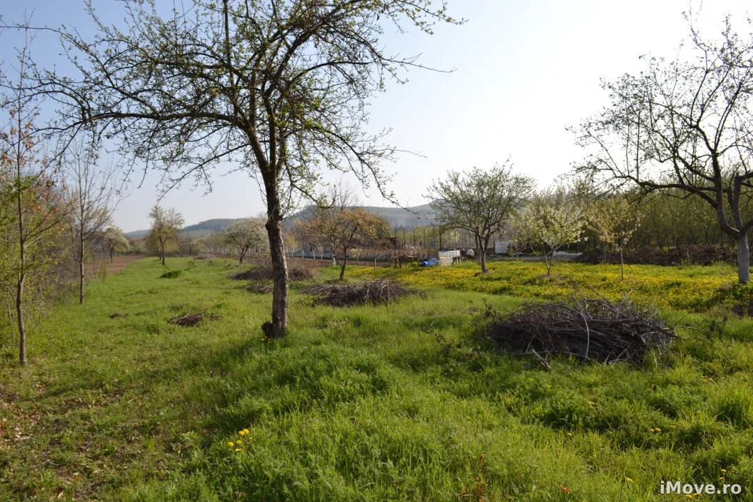 Teren de vanzare intravilan Goranu Valcea