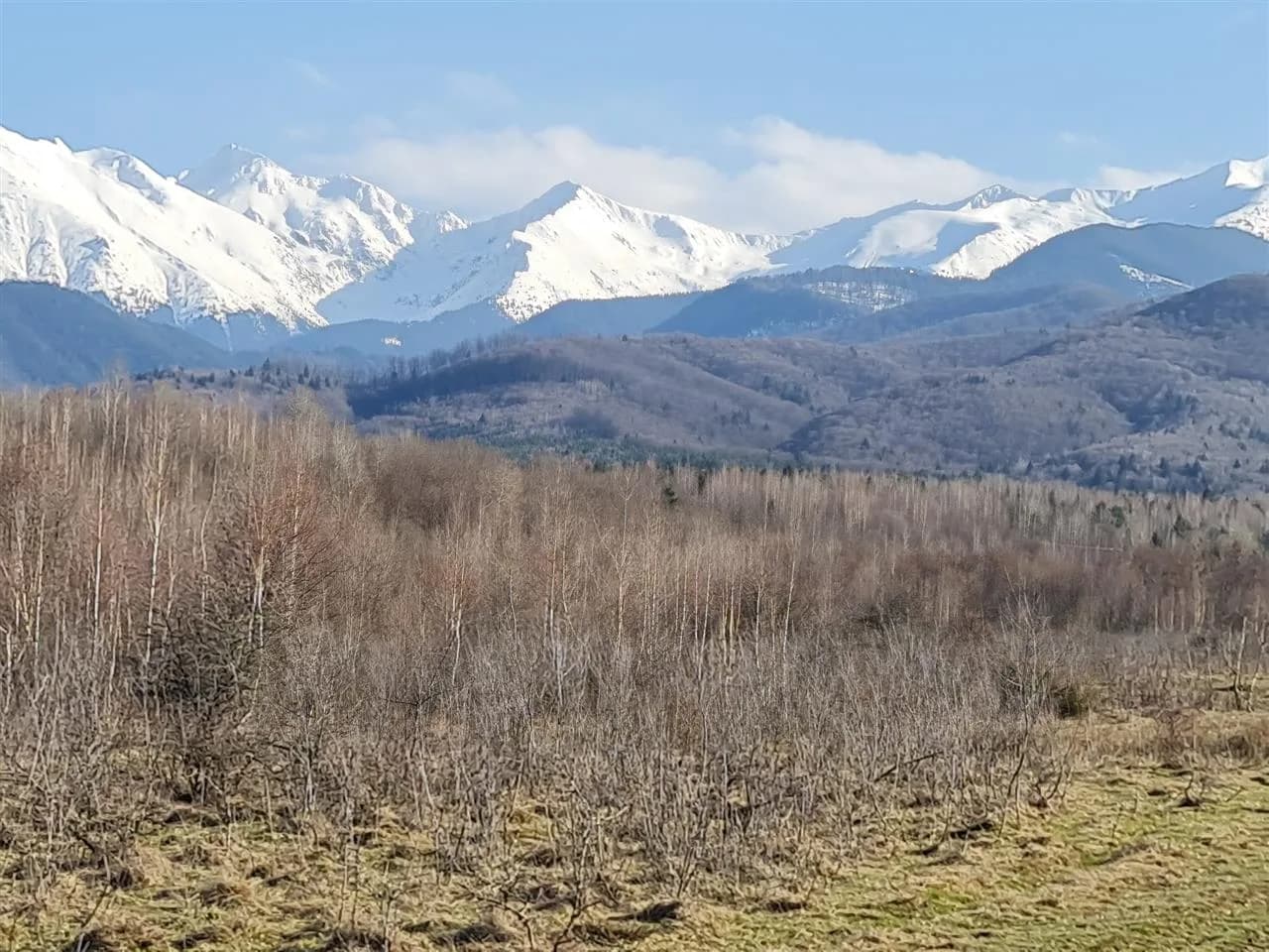 Teren intravilan 2500mp pe Valea Avrigului,optim casa de vacanta